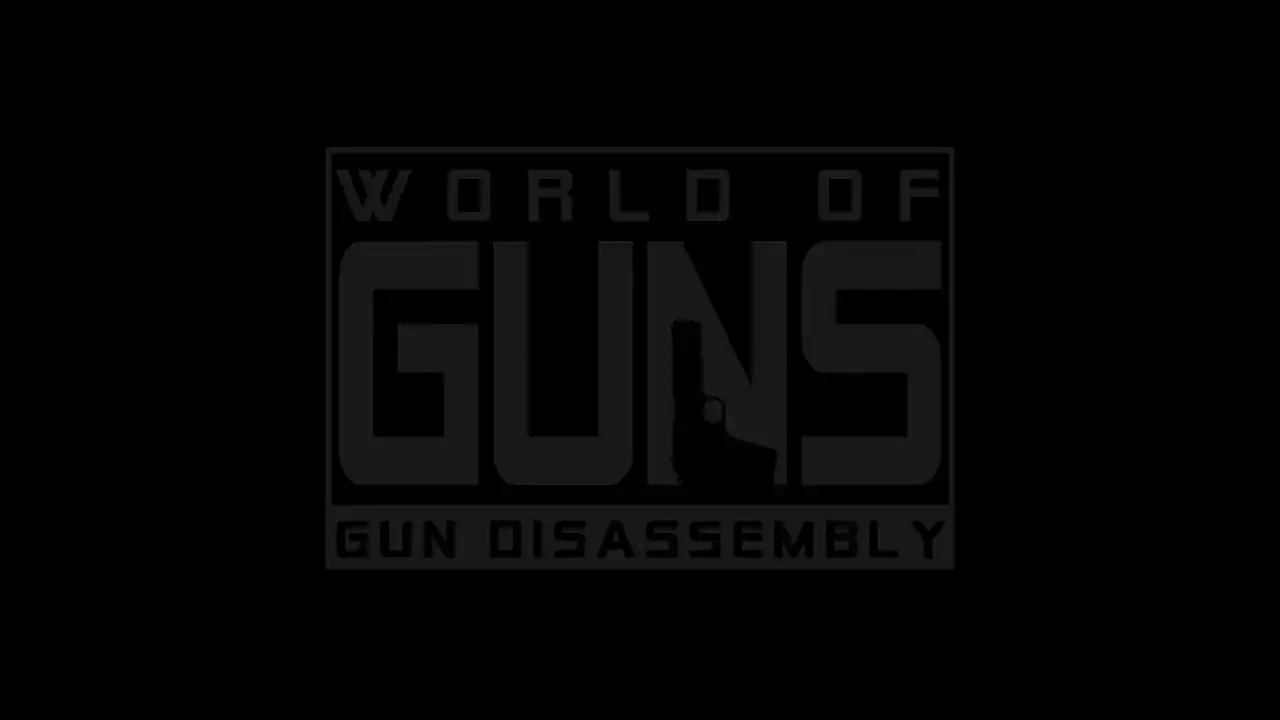 World of Guns: VR