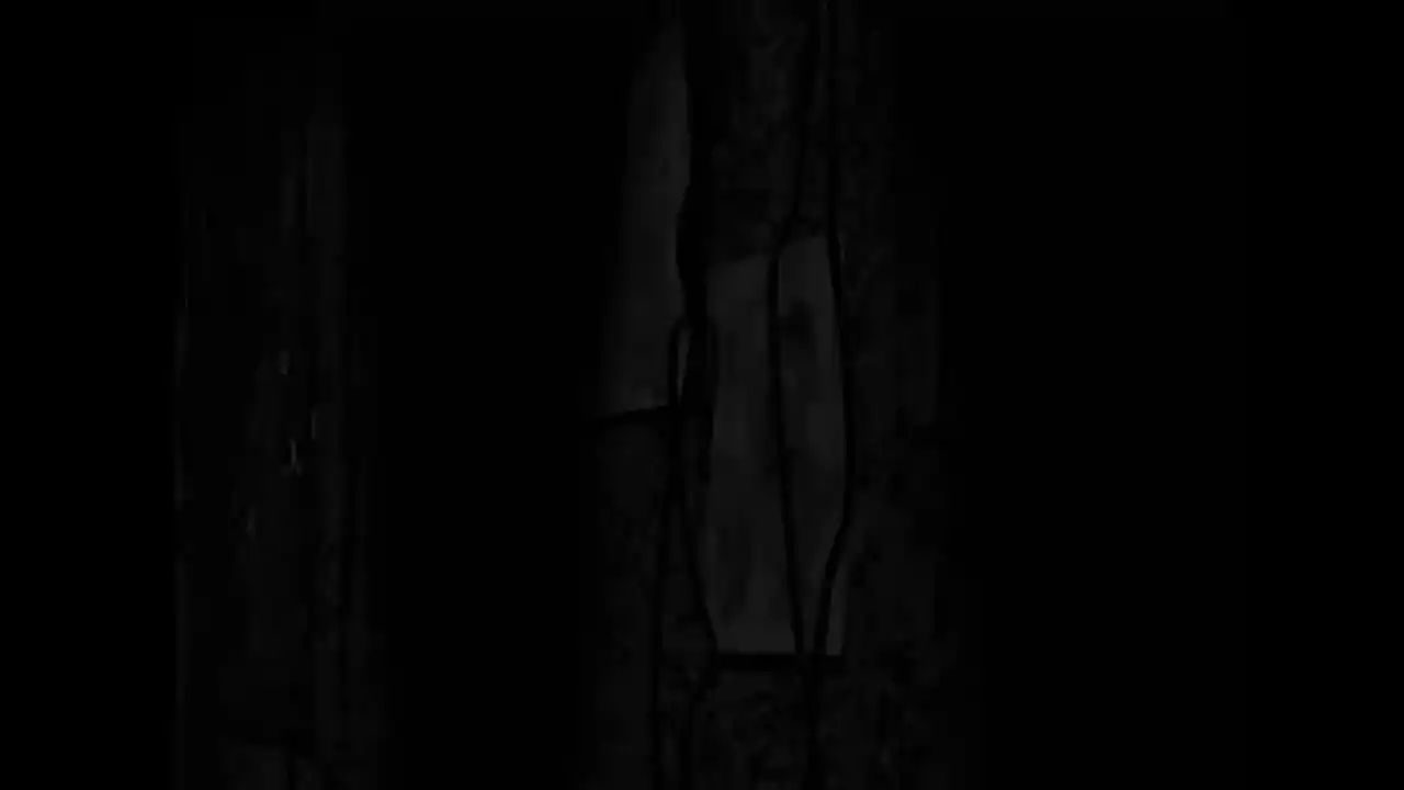 Five Nights at Freddy's 3