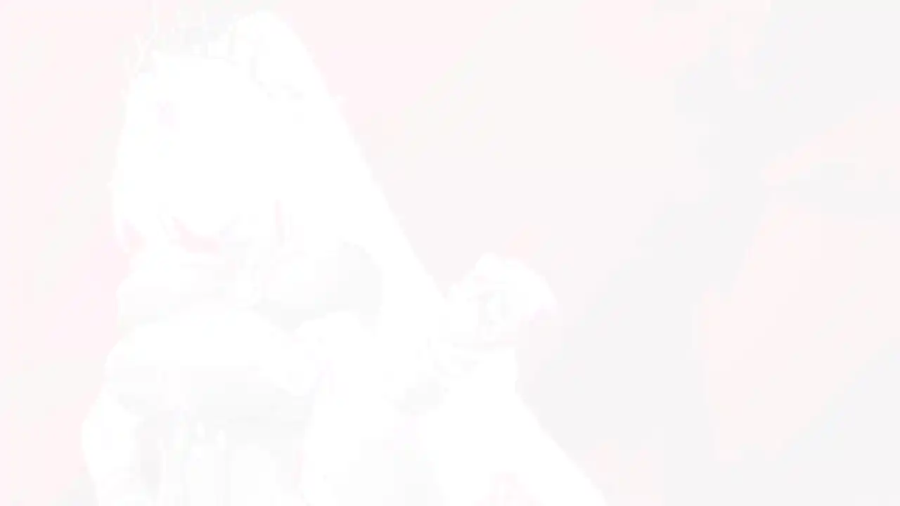魔王斗勇者:和平缔造者・序章