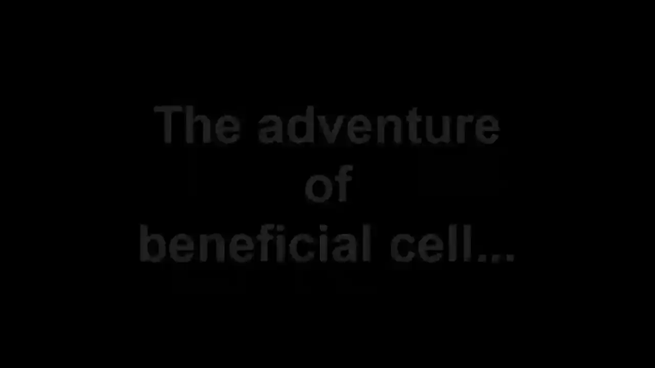 Back To Life 2