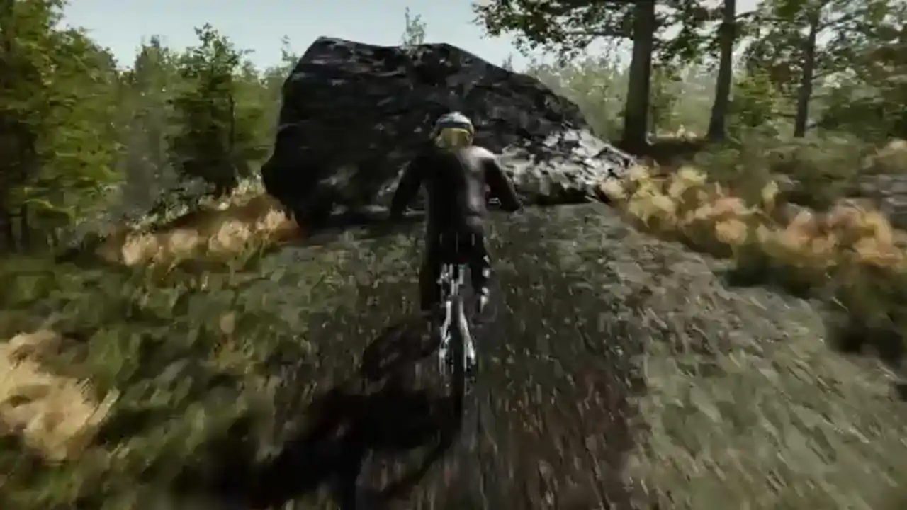 BicycleSim