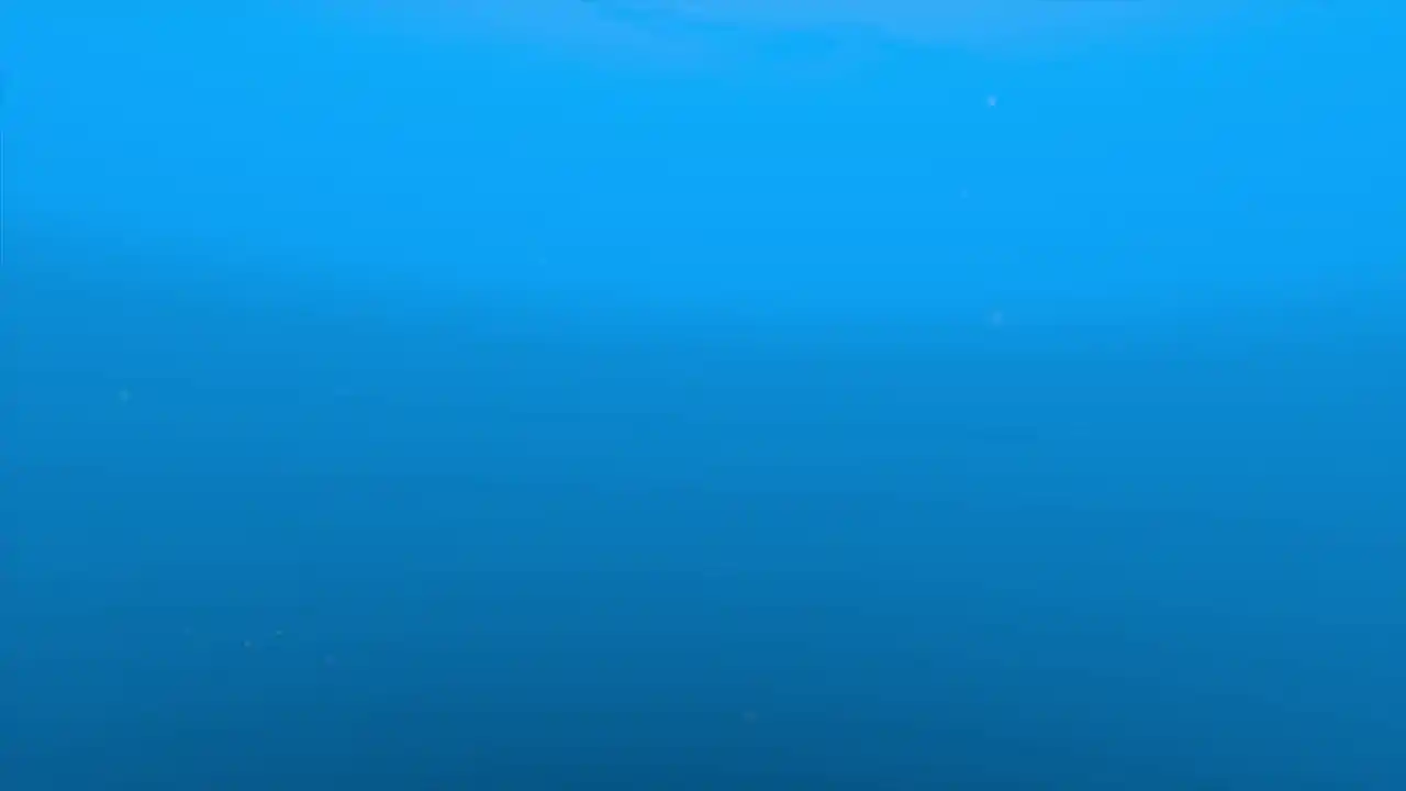 Fancy Fishing VR