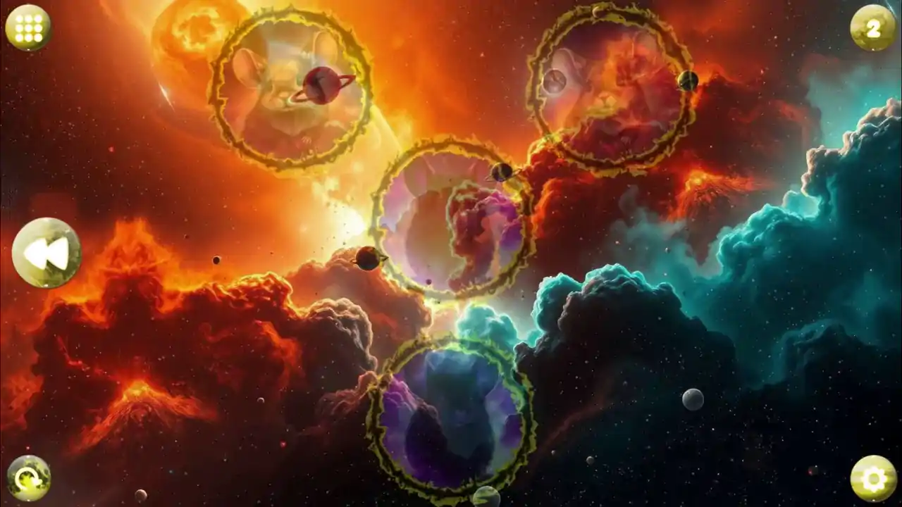 Space Memory: Chinchillas