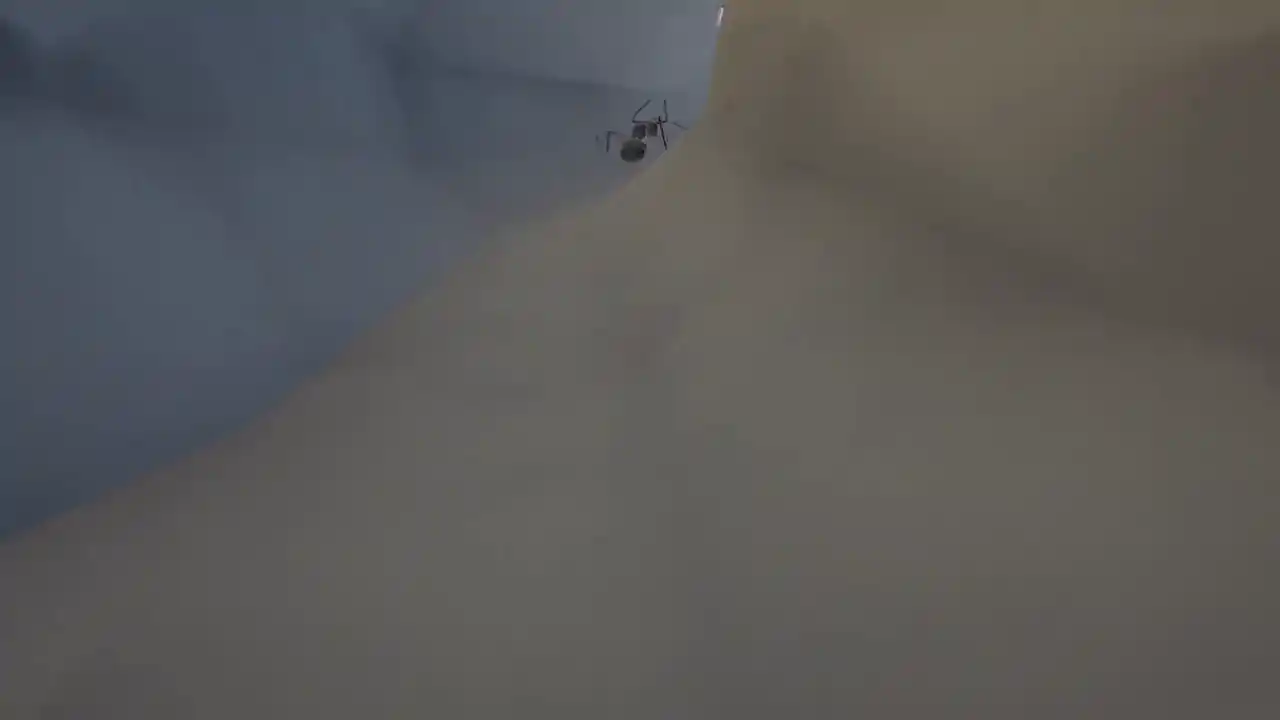 Ant Keeping Simulator