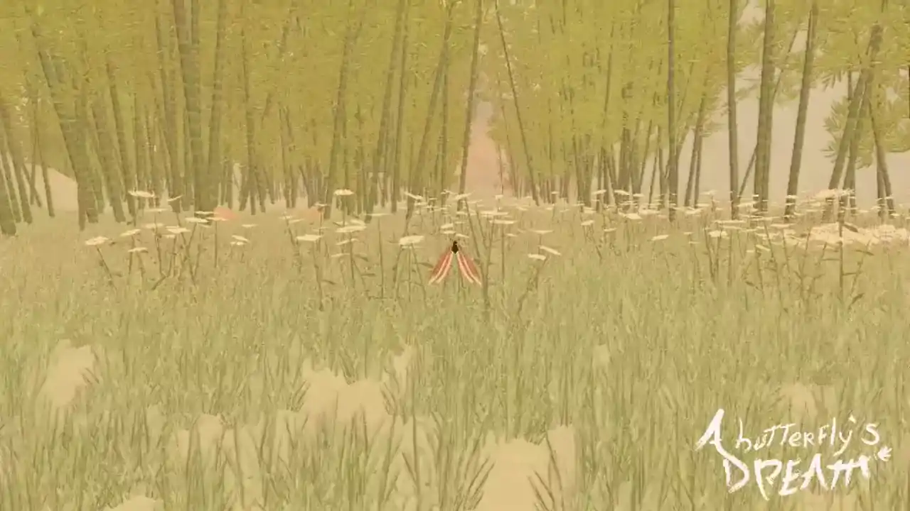 A Butterfly's Dream