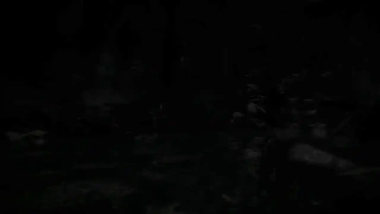 《Crysis® 3》
