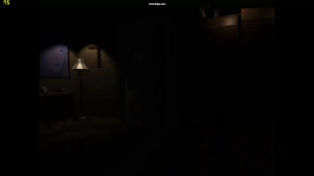 The Visitor