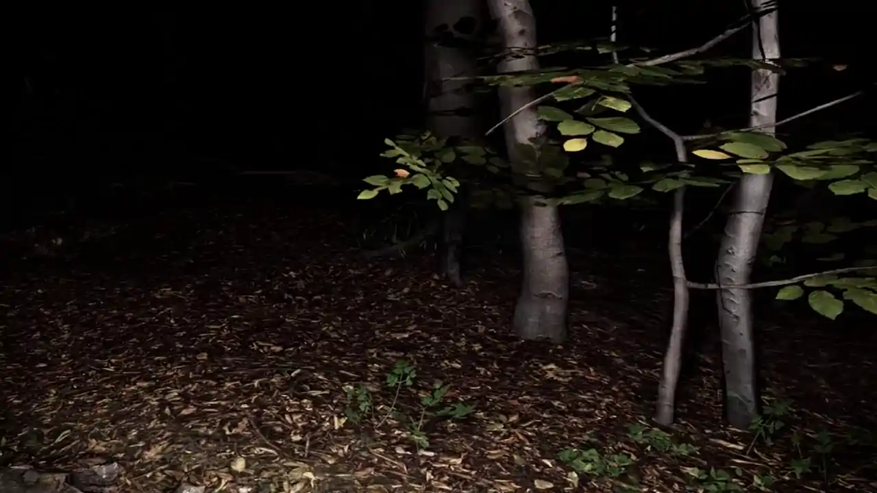 The Hollow Path VR