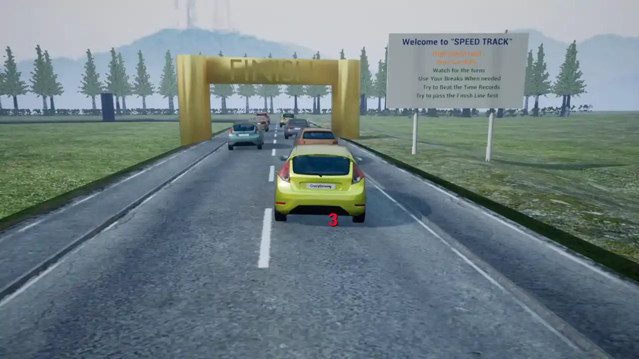 CrazyDriving