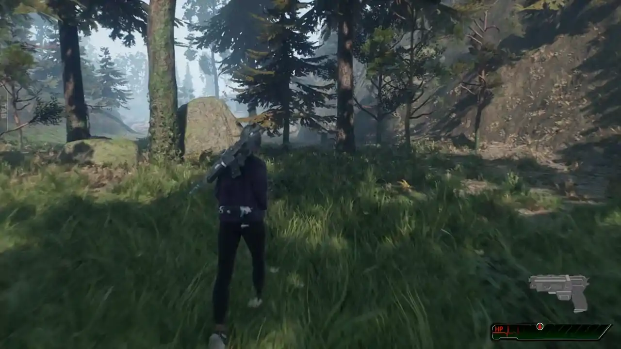 She Will Shoot