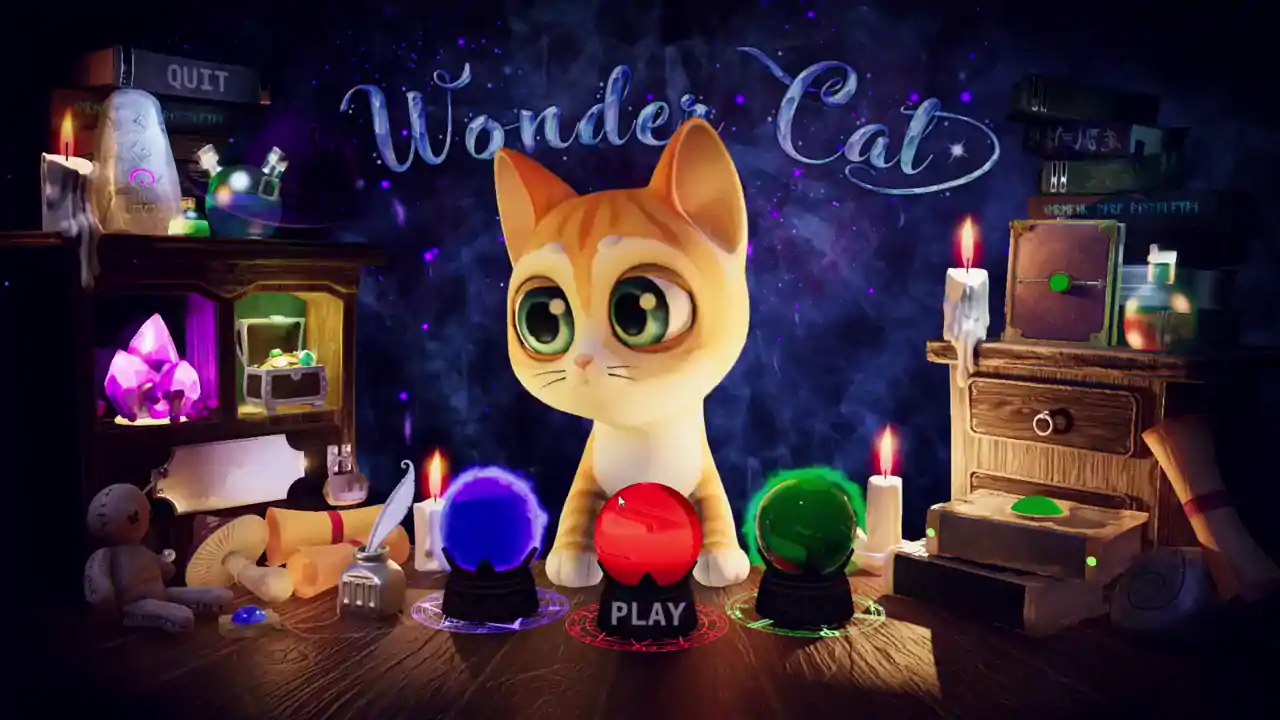 Wonder Cat