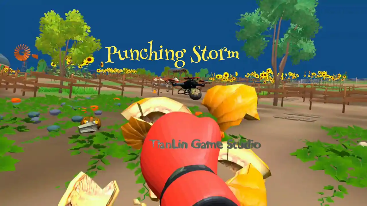 Punching Storm