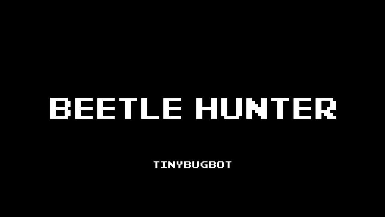 Beetle Hunter