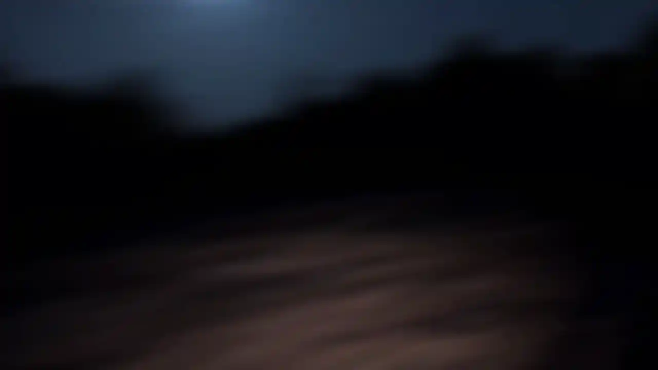 疯狂的牧羊人(闪迹云游戏)