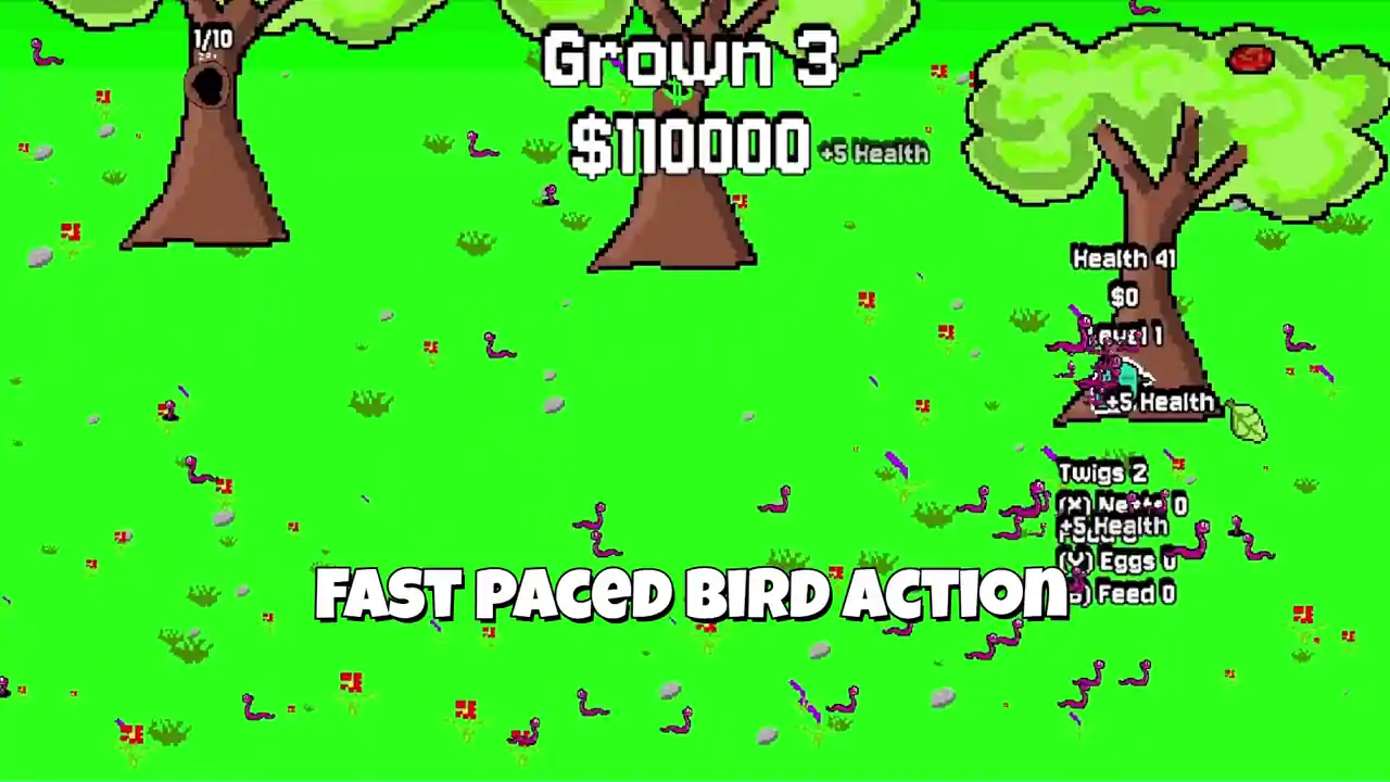 Frantic Birdies