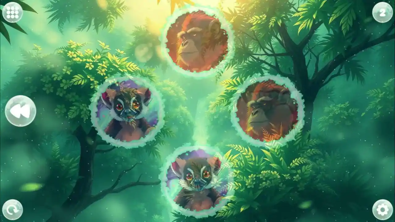 Anime Dream Match: Primates