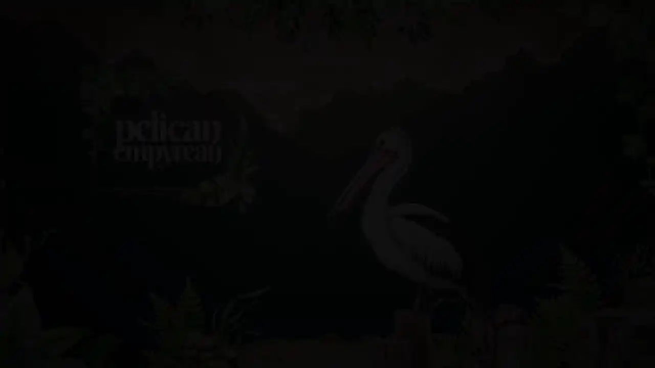 Pelican Empyrean