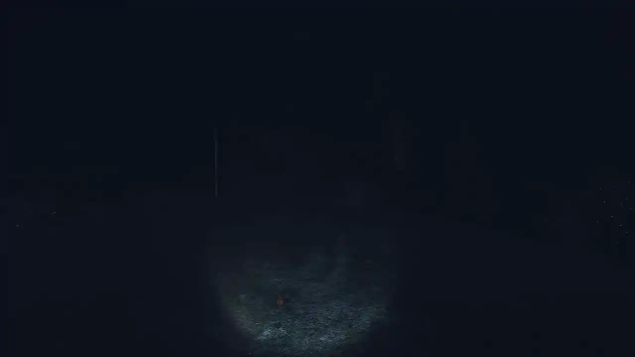 Dead Shells
