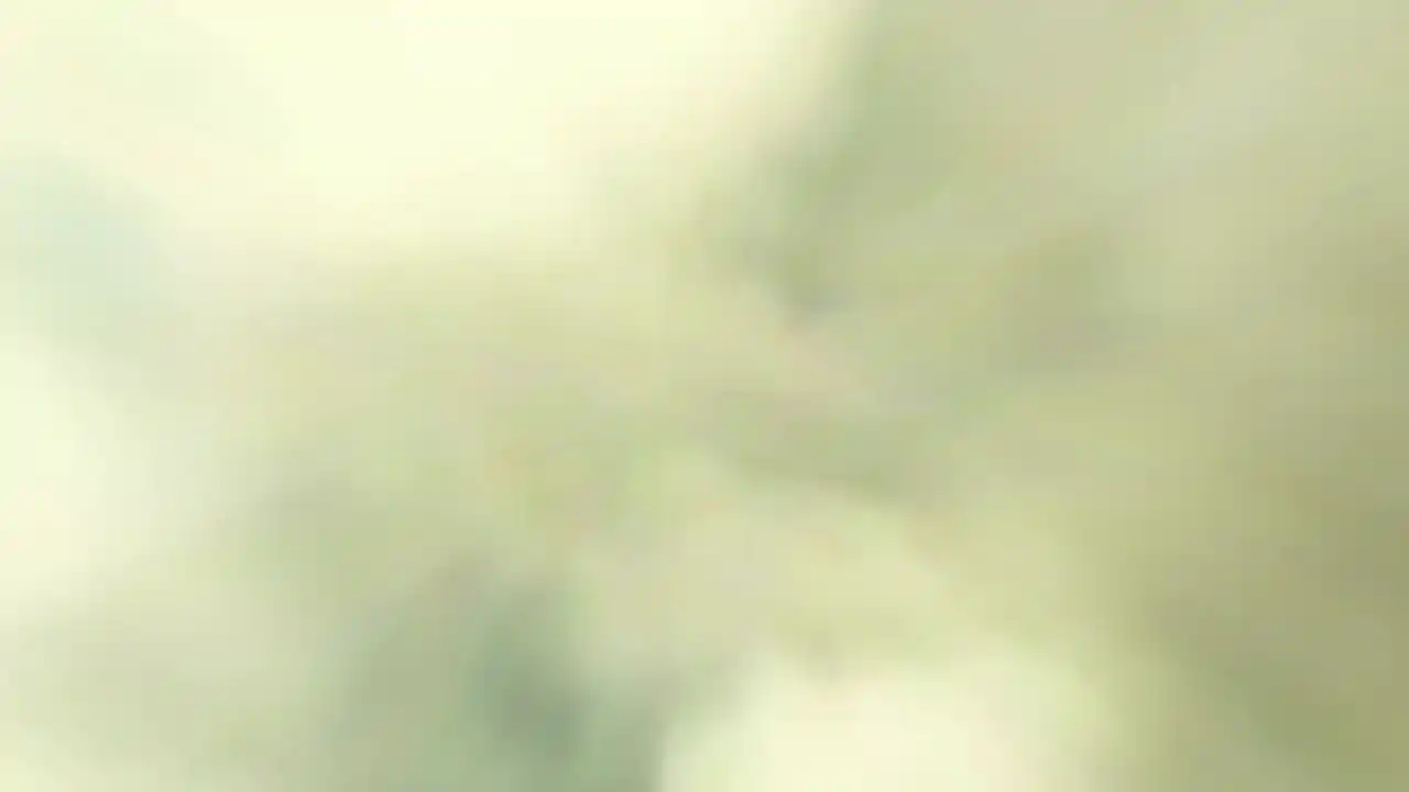生存保卫战