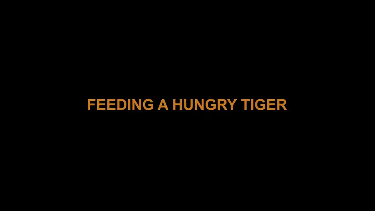 Hungry Tiger