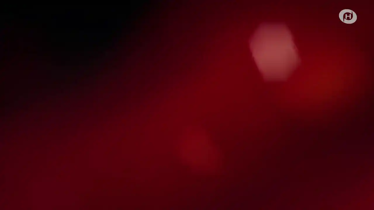 Vampire Master