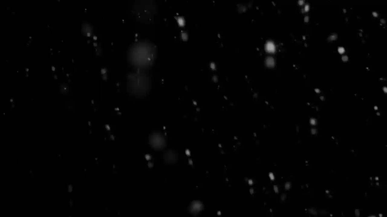 ШХД: ЗИМА / IT'S WINTER