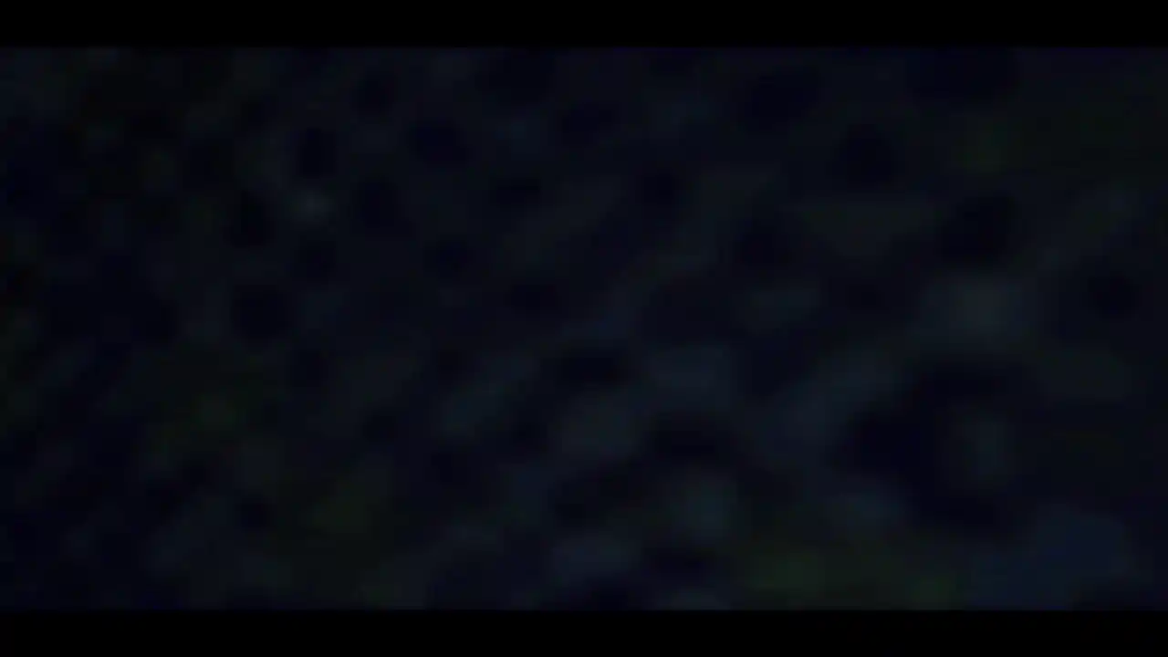 皮卡布：宁静的夜晚（撒旦老人）