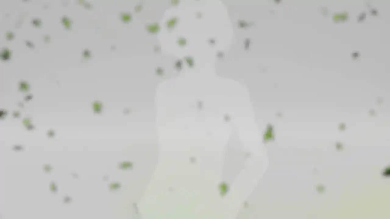 霎时晴荫