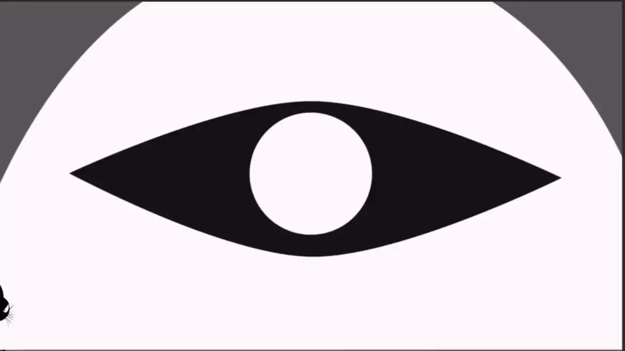 What is in the Black Box?