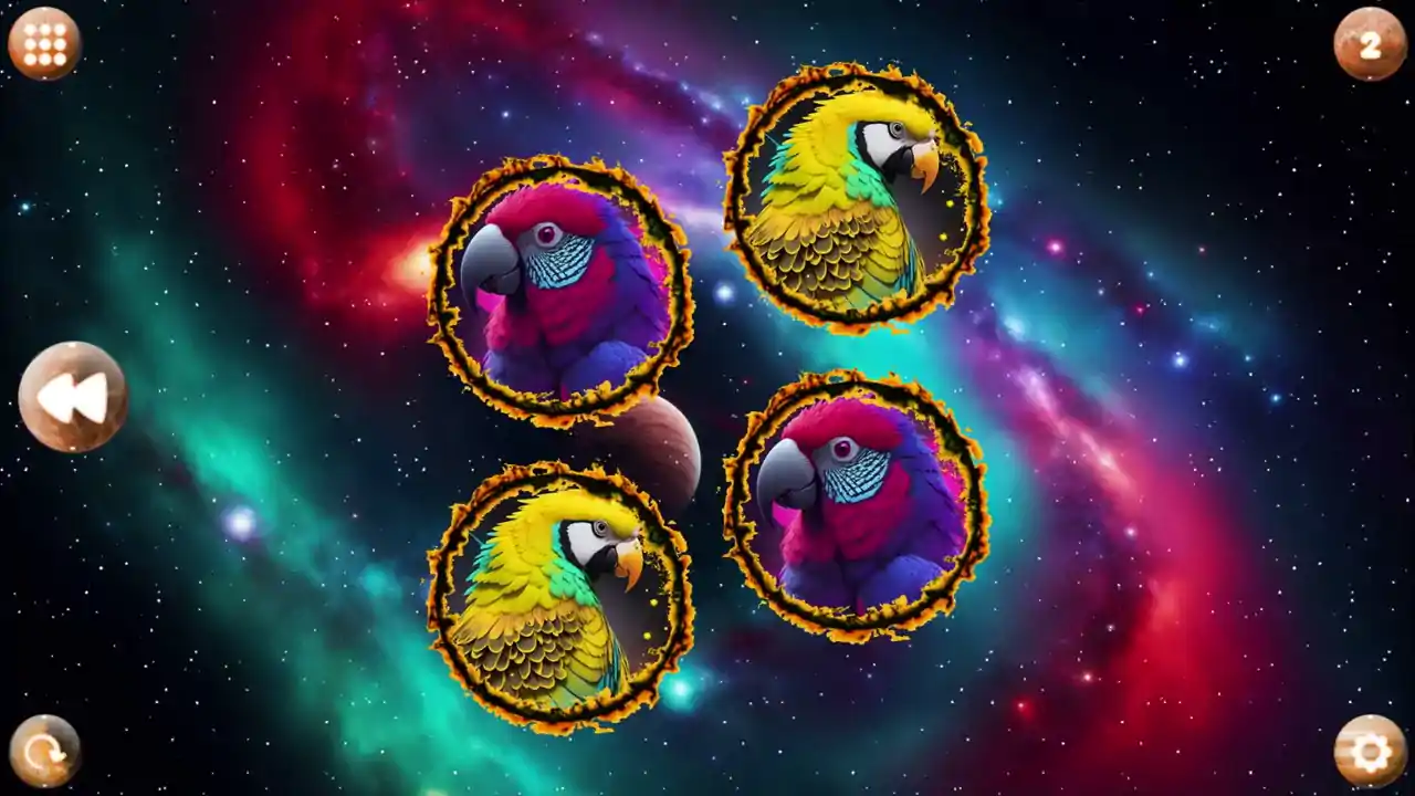Space Memory: Parrots