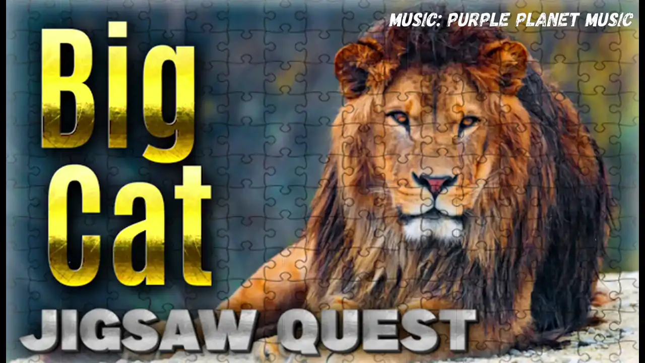Big Cat Jigsaw Quest
