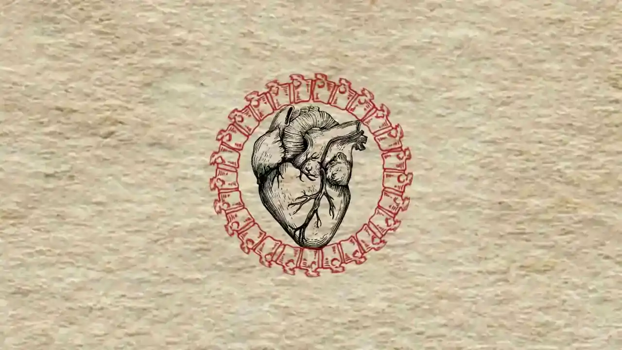 Prophour23