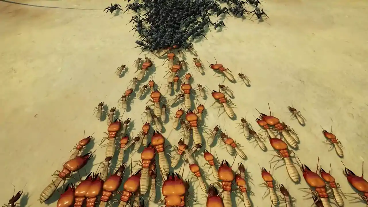 地下蚁国 Empires of the Undergrowth