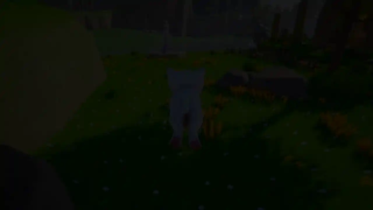 Cat Go! Ultimate Challenge