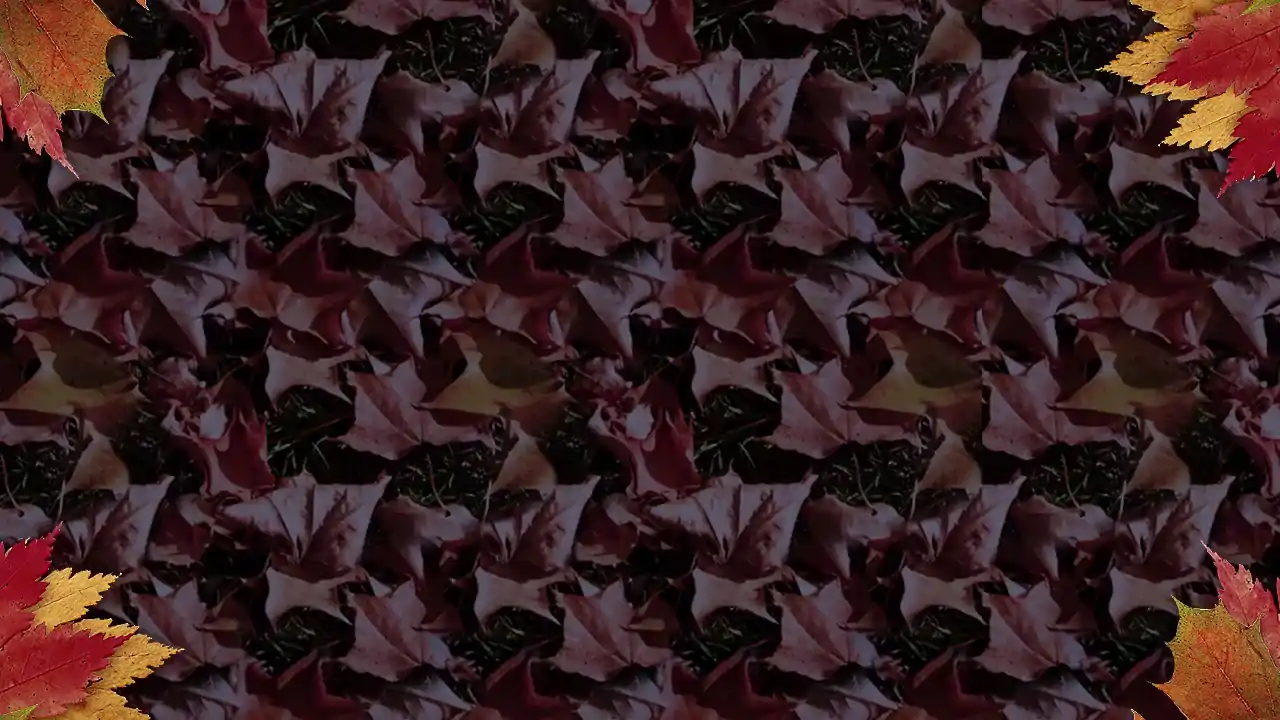 Holiday Jigsaw Halloween