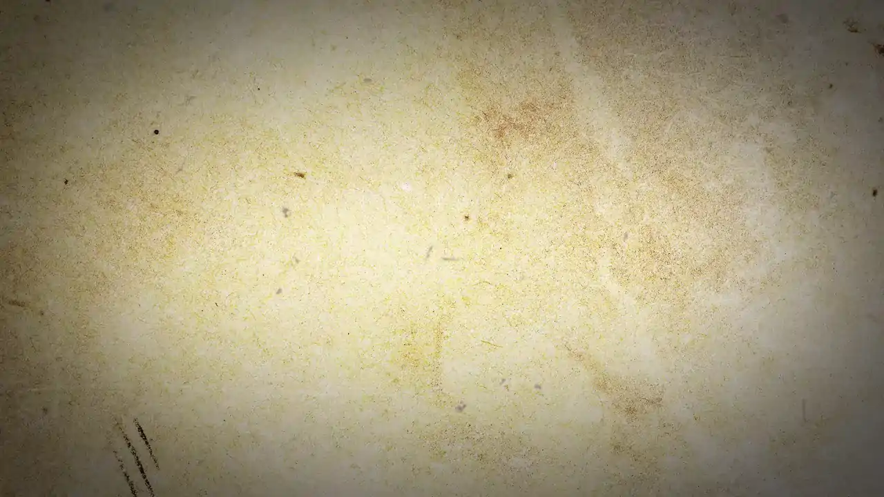 Nobunaga's Shadow