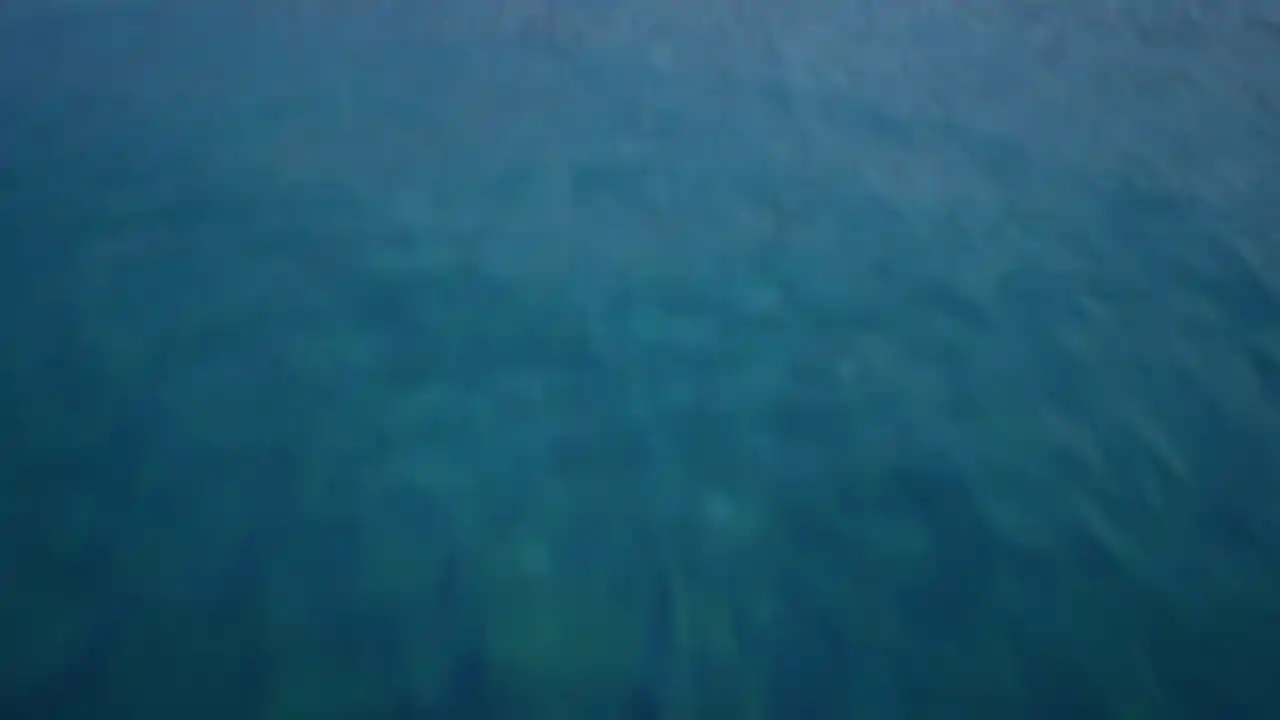 游轮经理