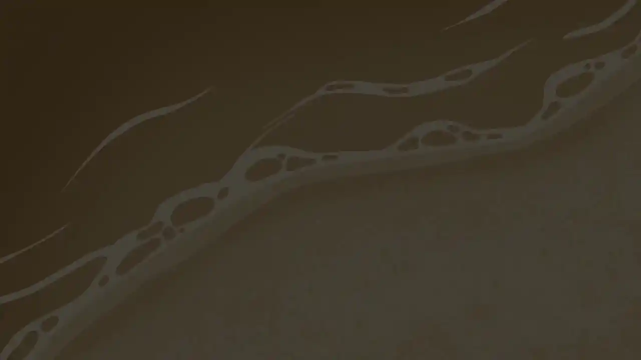 融合大师:鲁滨逊漂流记