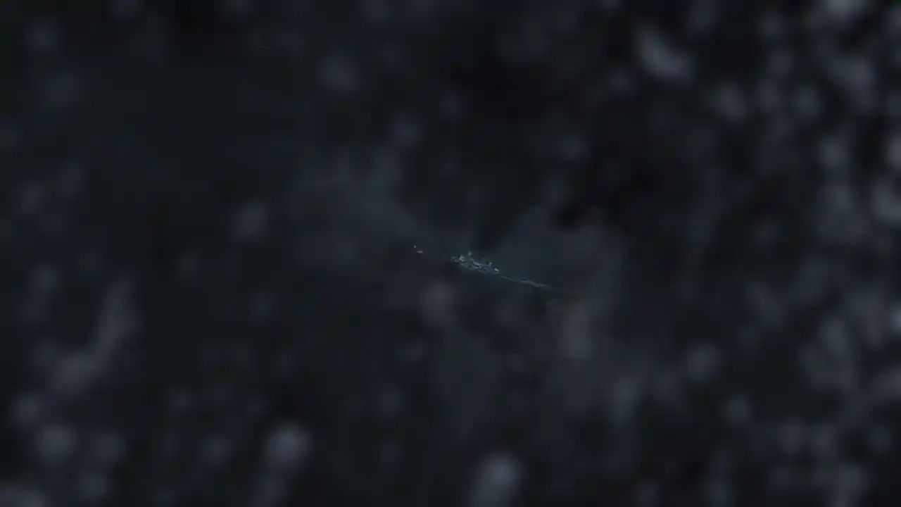 World of Warships: Legends