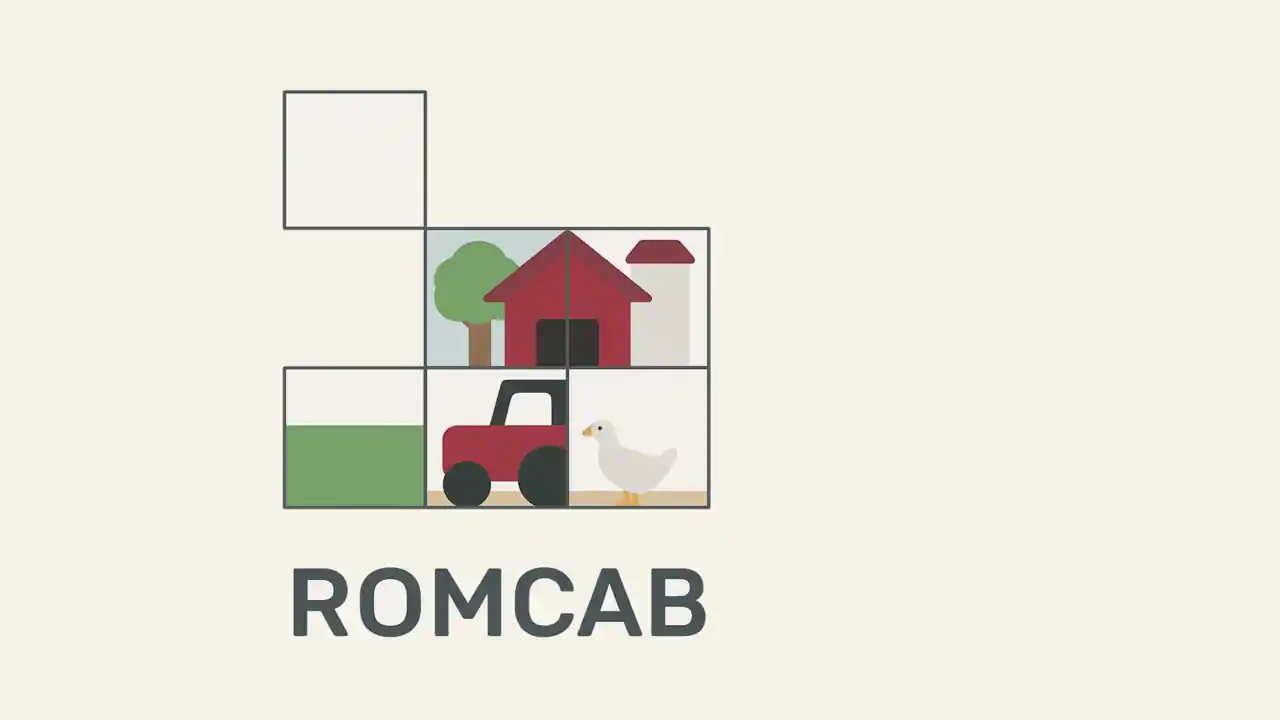 Romcab Puzzle
