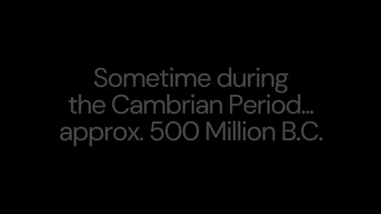 Cambrian Dawn
