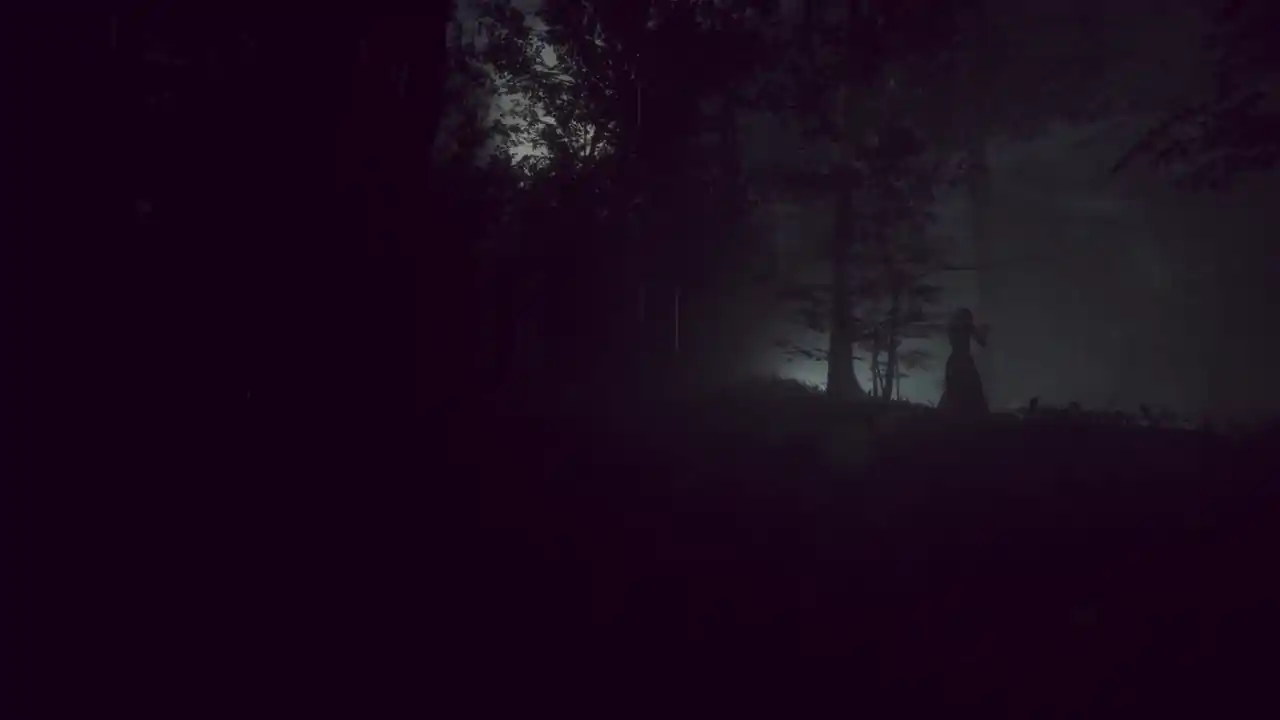 Twisted Logic: Abbotsfield