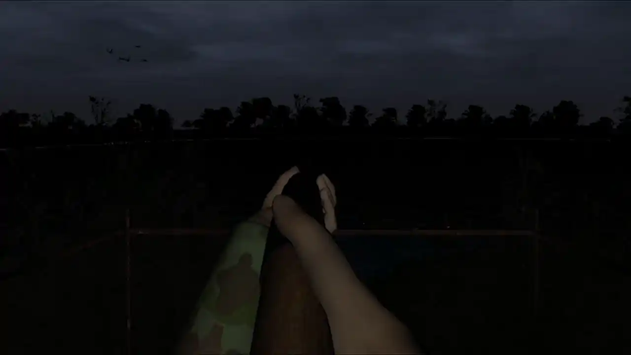 AWS Argentina Wingshooting Simulator