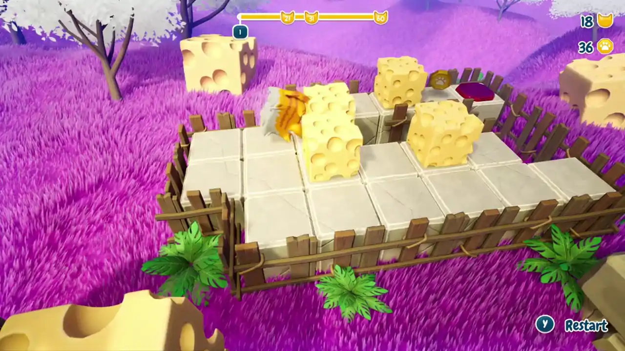 Lost in Cheese