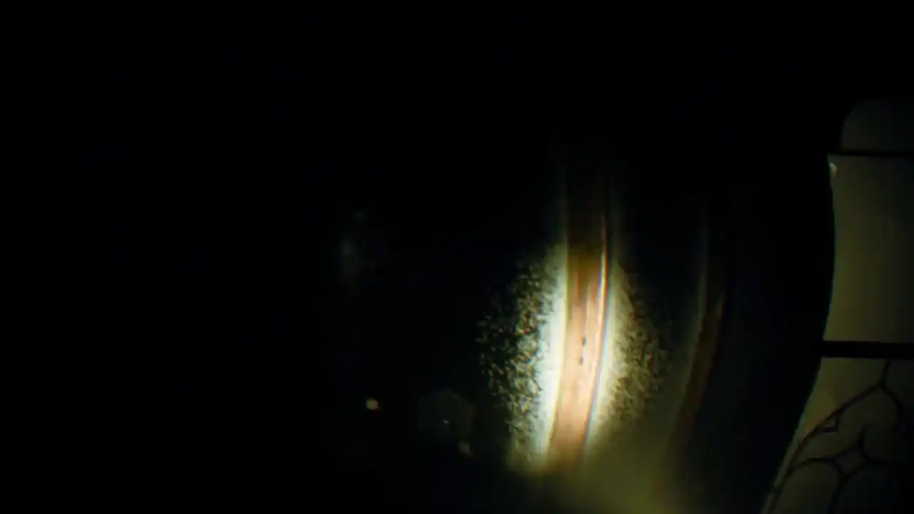 REC: Beyond The Lens