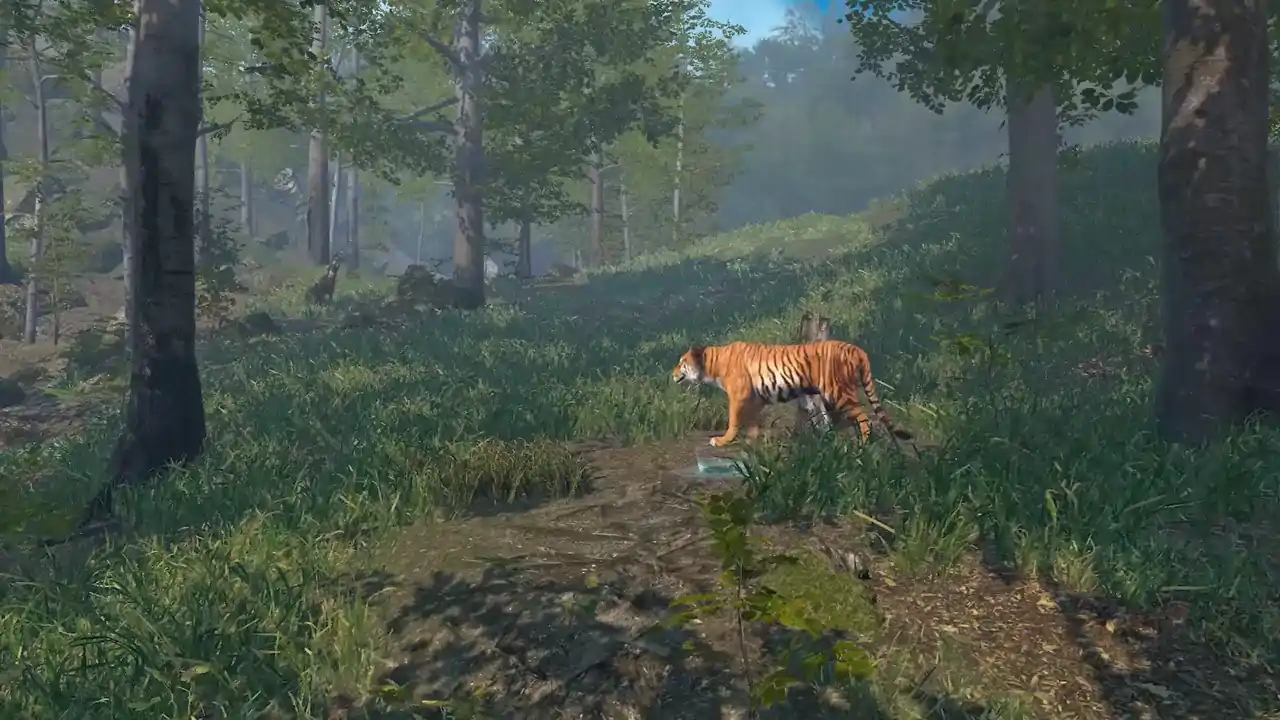 Big Cat Rescue VR