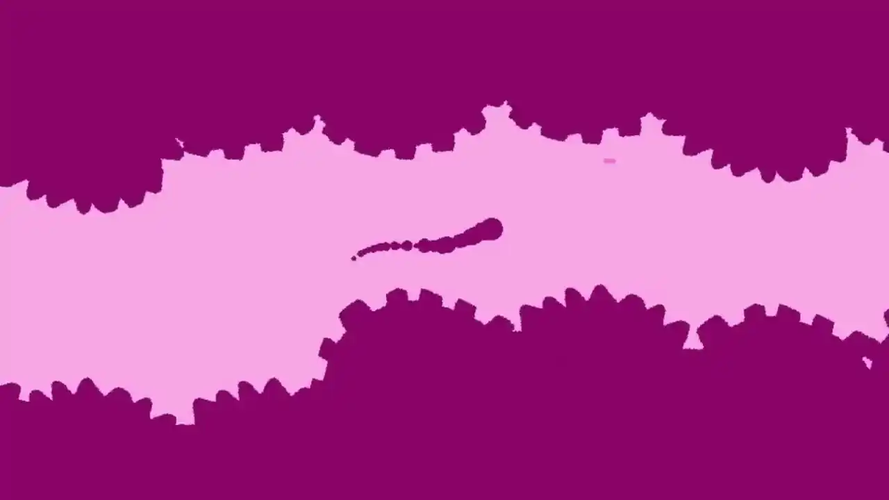 GEAR TuNNEL