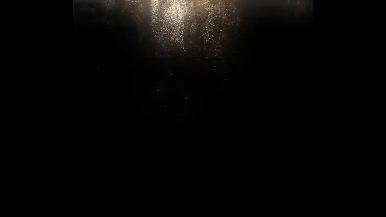 武侠幸存者
