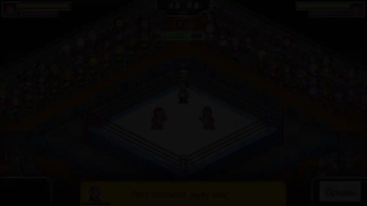 摔跤擂台物语 (Pro Wrestler Story)