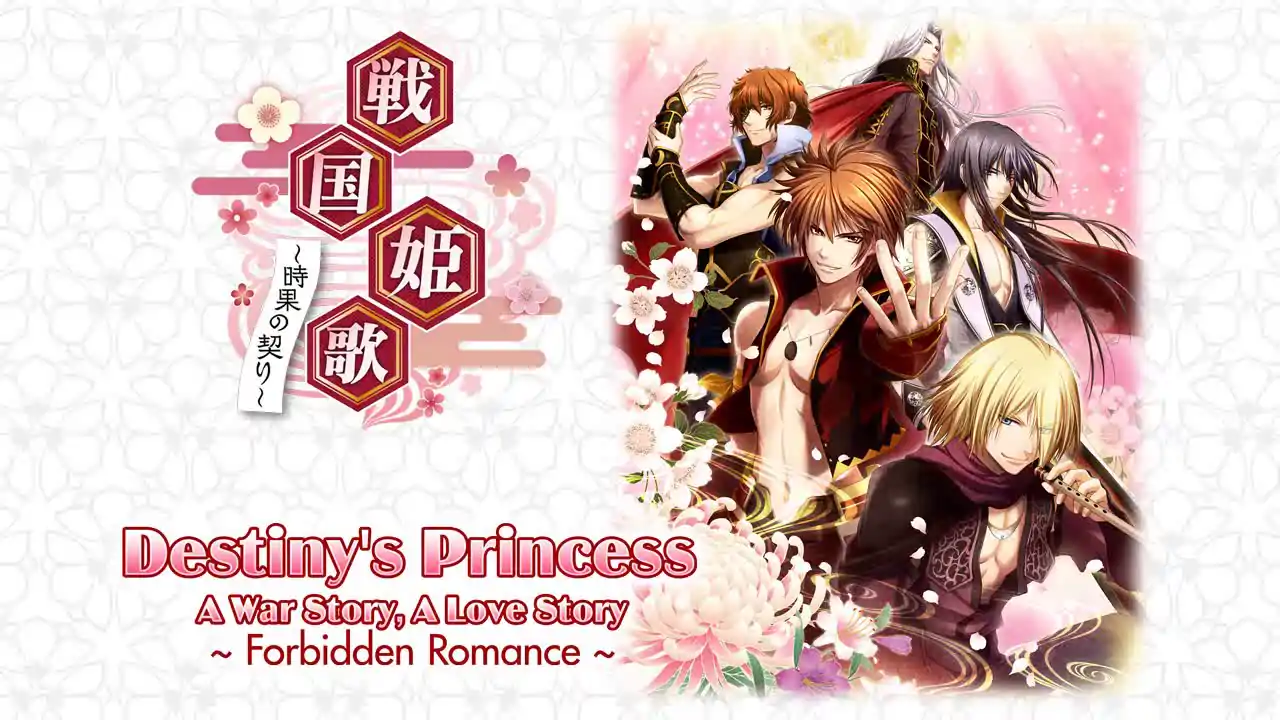 Destiny's Princess: A War Story, A Love Story